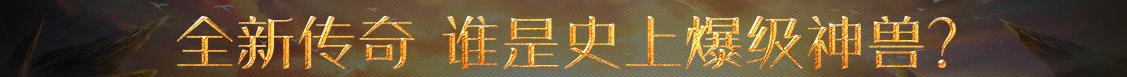 浩宇網